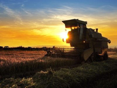 EMPREENDEDORISMO NO AGRONEGÓCIO